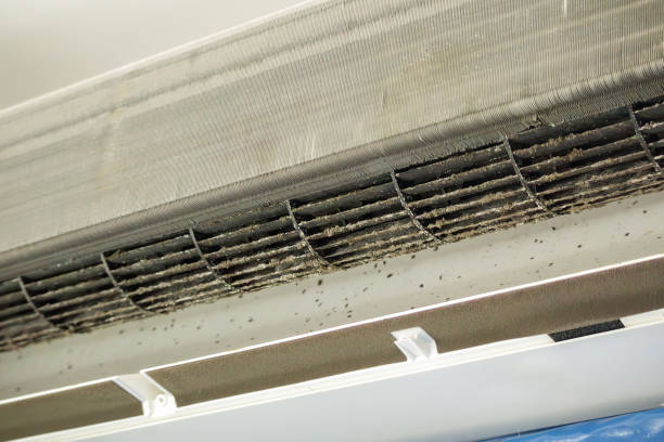 Best Air Duct Cleaning Near Me  in Saylorsburg, PA